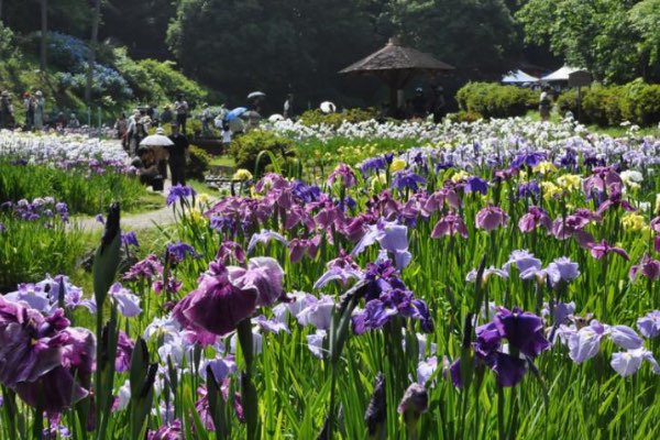 Gifu Prefecture Century Park