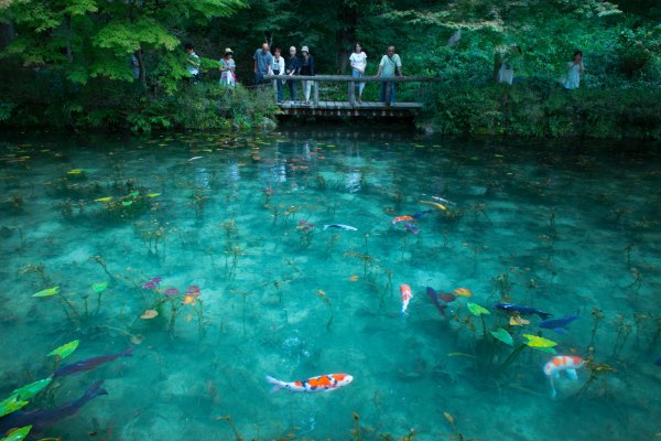 Namonaki Pond (Monet’s Pond)