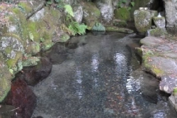 Spring Water from the Shrine